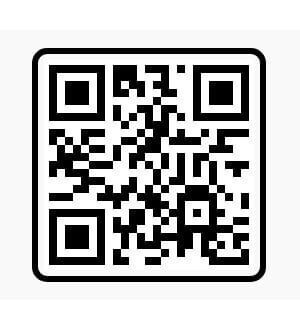 vn code